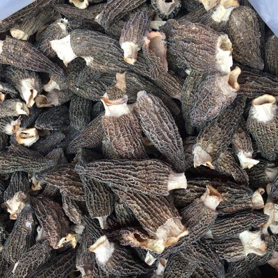雲南高原特産羊肚菌幹貨 剪柄羊肚菌 手工采摘 産地批發 量大