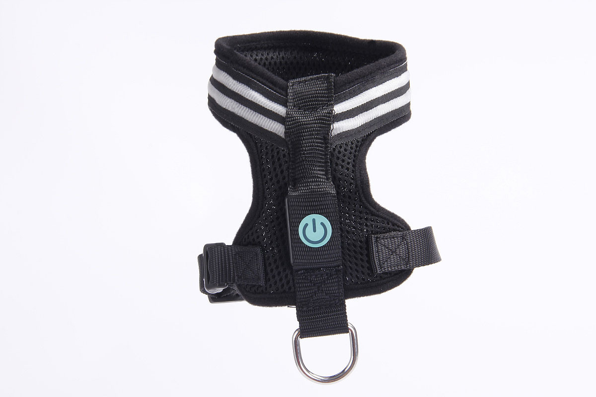 双光纤发光胸背带1200 (7).jpg