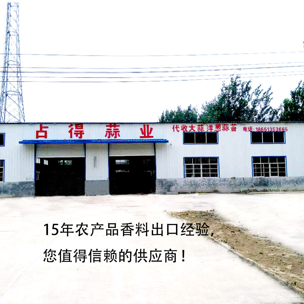 常年供应普白纯白大蒜冷藏烘干蒜片蒜粉粒洋葱丰县新产区产地直销|ru