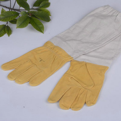 供应黄色牛皮帆布防蜂手套 防蜜蜂手套 养蜂用工具厂家批发