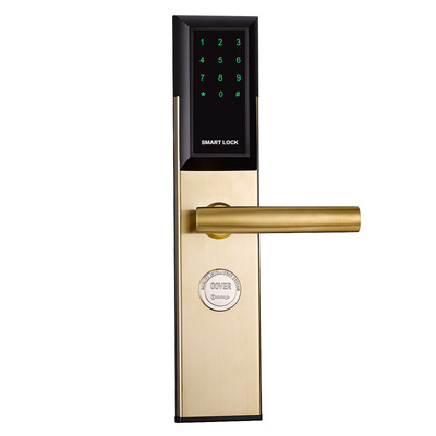 供应出租房密码锁刷卡智能遥控锁民宿酒店宾馆公寓日短租门锁|ru