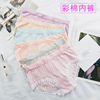 Japanese underwear, lace cotton trousers, pants, wholesale, cotton and linen