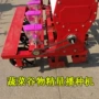 小颗粒圆盘菜籽