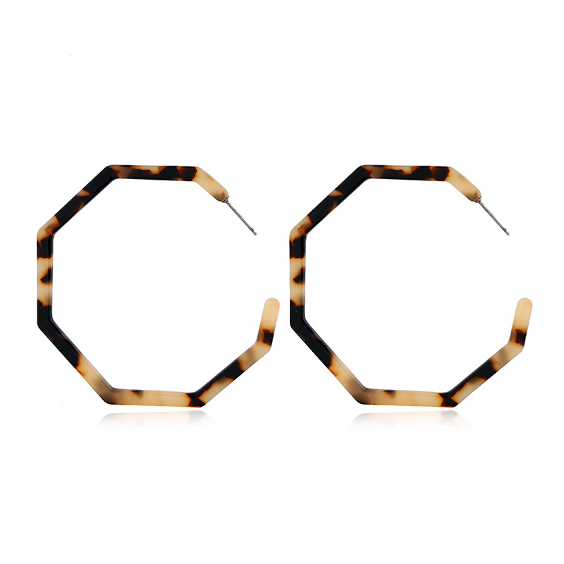 Exaggerated Acetate Plate Creative Geometric Leopard Print Earrings display picture 15