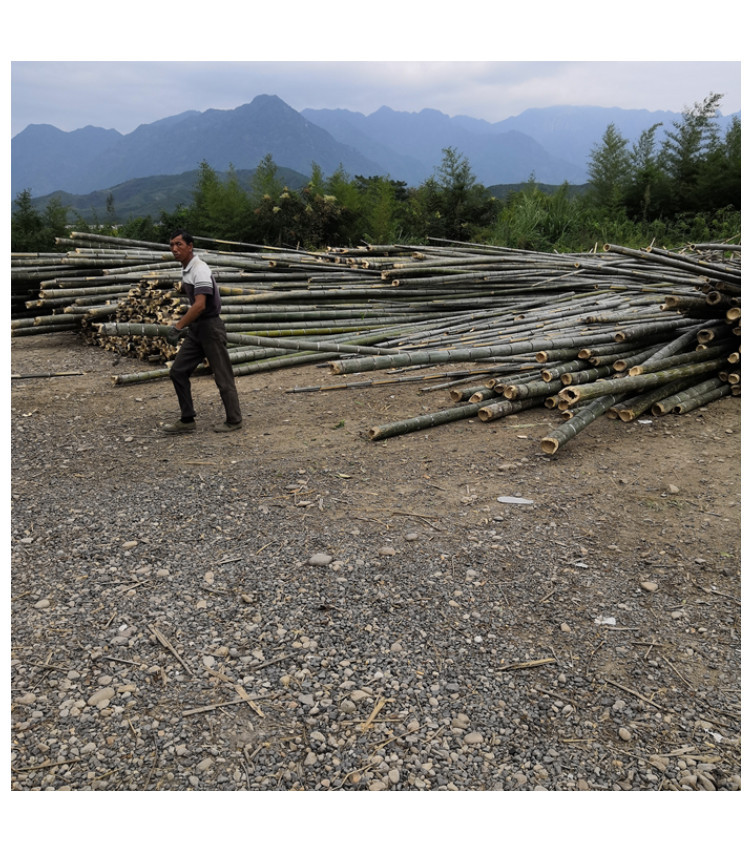 长方形白底800_12