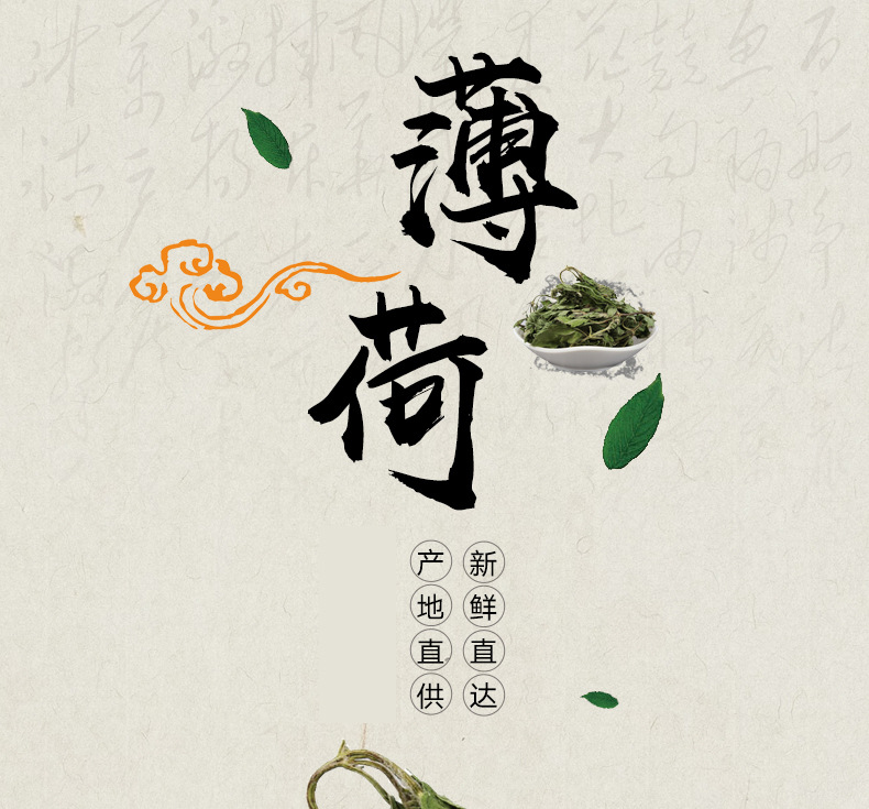 Mint Leaves (Mentha haplocalyx) — Dried Food-Herb for Cooling Herbal Teas & Blends overview