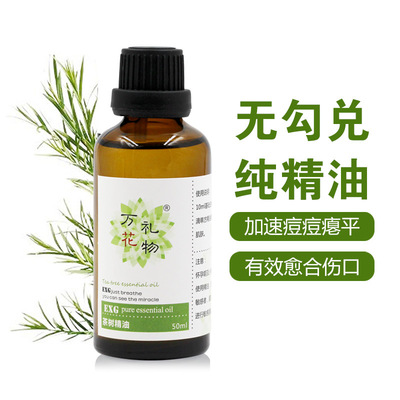 厂家直销新疆伊犁茶树精油50ml 大瓶装批发单方精油|ms