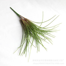 �S����ݷ���ֲ�����ϴ��ݾ��@ˇ���ֲ��廨�b�������l