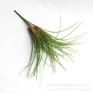 �S����ݷ���ֲ�����ϴ��ݾ��@ˇ���ֲ��廨�b�������l