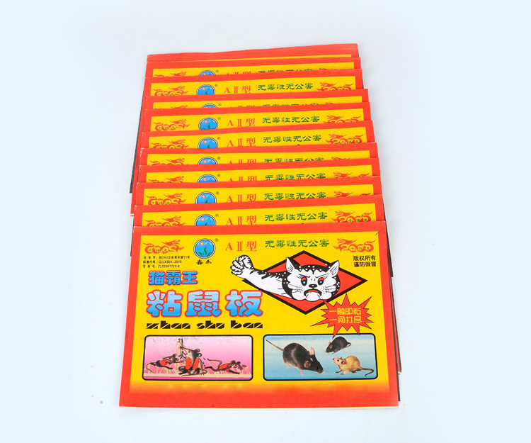 3926569567_1711902135