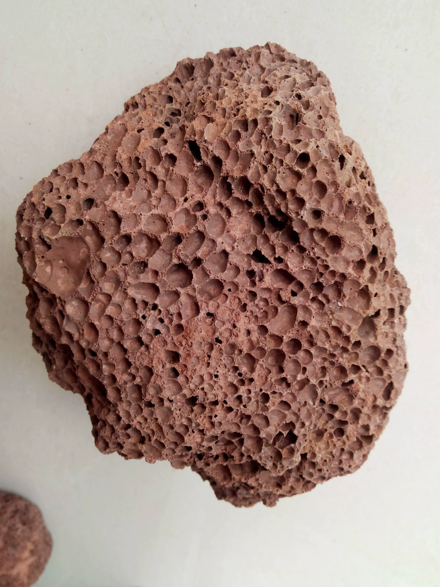 Обработка изготовленного на заказ Красного черного мясистого растения специальный вулканический камень садоводческий вулканический камень фильтрующий материал для аквариума