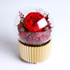 Cup Cake-Spend eternity The music box Garden rose Austin CH42