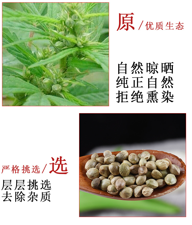 Hemp Seed (Cannabis sativa) — Hulled Huo Ma Ren, Food-Herb for Congee & Tea quality and texture