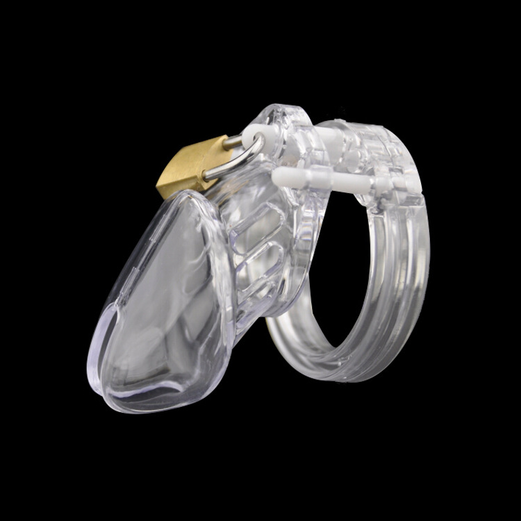 Chastity Device Display