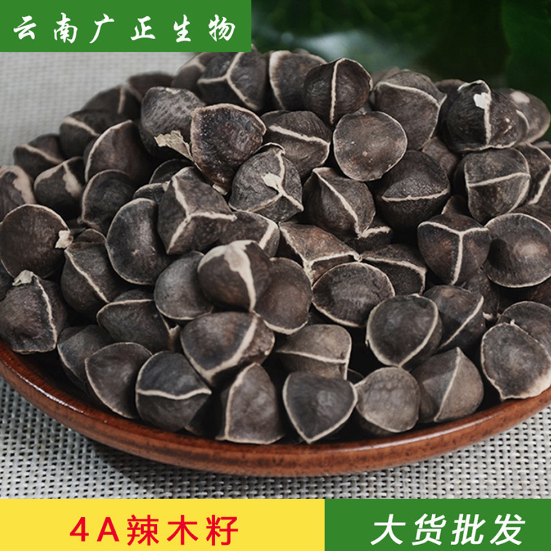 Moringa Seeds grain grain Moringa Seeds Place of Origin supply bulk wholesale 250 gram A generation of fat