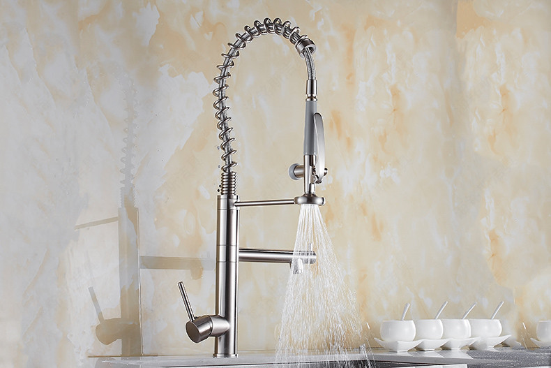 Haimingsi Spring brushed high-end kitchen faucet sink vegetable faucet dual water outlet cold and hot water 9125 full figure