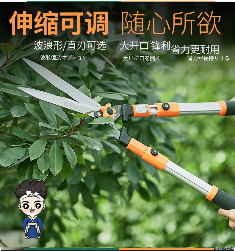 藤原修枝剪园艺剪树枝剪园林绿化工具修绿篱笆剪可伸缩省力直形剪-阿里巴巴