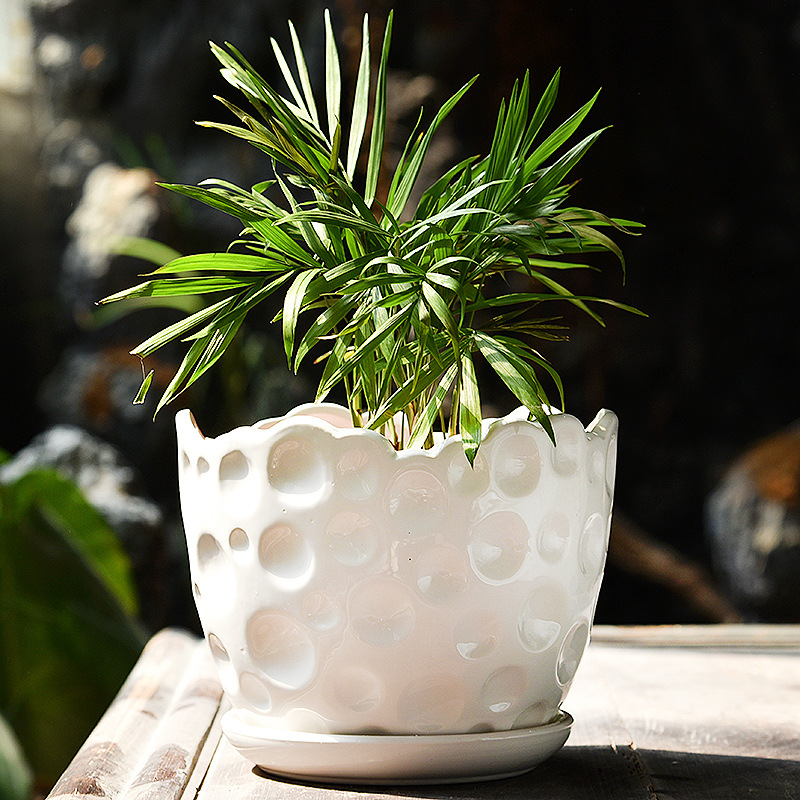 DSC_7500 副本副本