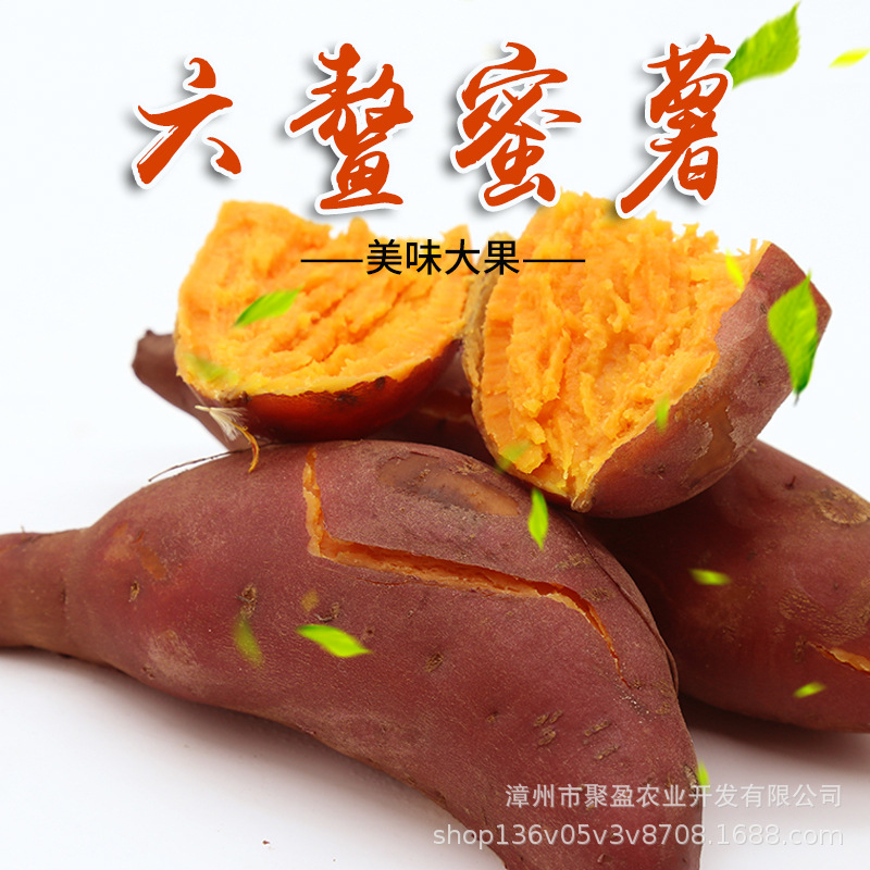 Boutique Six. Sweet potato Six. Six. Sand sweet potato Red Sweet potato Red sweet potato Large fruit On behalf of
