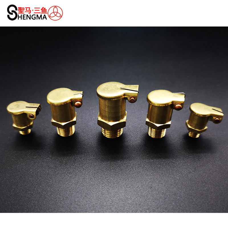 【圣马五金】B型弹簧盖油杯 GB1157 DIN3410 （10只价）