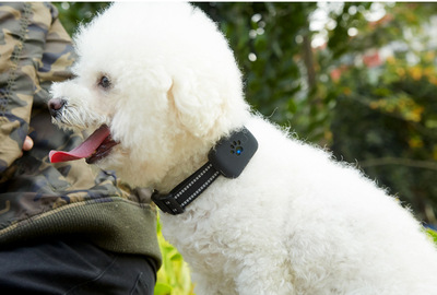gps positioner Pets location Tracker A21P Dogs Tracker waterproof dustproof miniature positioner