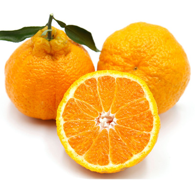 四川特产丑橘不知火丑柑丑八怪 新鲜当季水果桔子橘子一件代发|ru