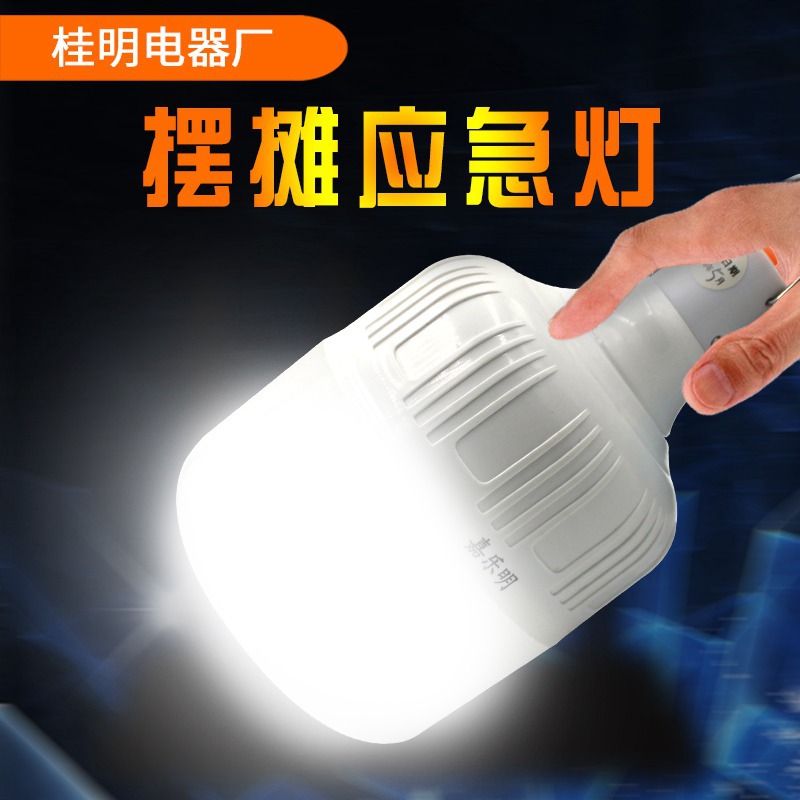 厂家直销充电球泡灯 停电夜市摆摊露营夜钓照明充电球泡灯 满包邮