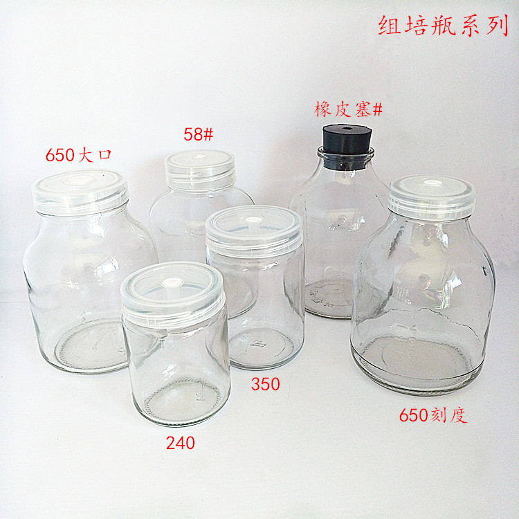 厂家直销240ml 组培瓶650ml菌种玻璃瓶 丝口刻度组培瓶耐高温菌瓶|ru