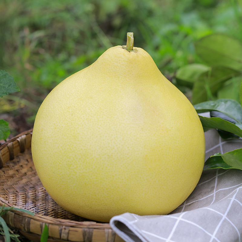 Sichuan Province Farm Production Grapefruit Large fruit fresh fruit Guyanxi Pomelo Red Yellow Heart Pomelo