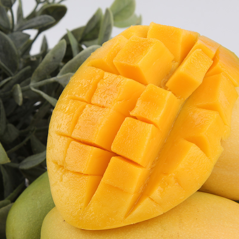 甜心芒果9斤秒杀28 入口柔滑浓甜 全国包邮除新疆西藏