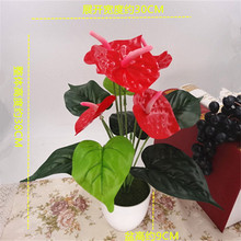 ӼԻPUt12^СtƷ滨bֲ辰Gֲb