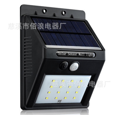 3636771947_1637768465