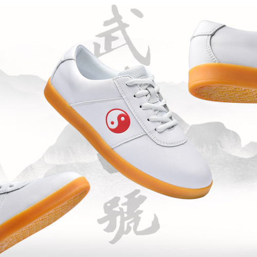 Tai chi shoes for women men kung fu shoes Wulin Tai shoes soft sole anti odor training shoes morning exercise shoes martial arts shoes