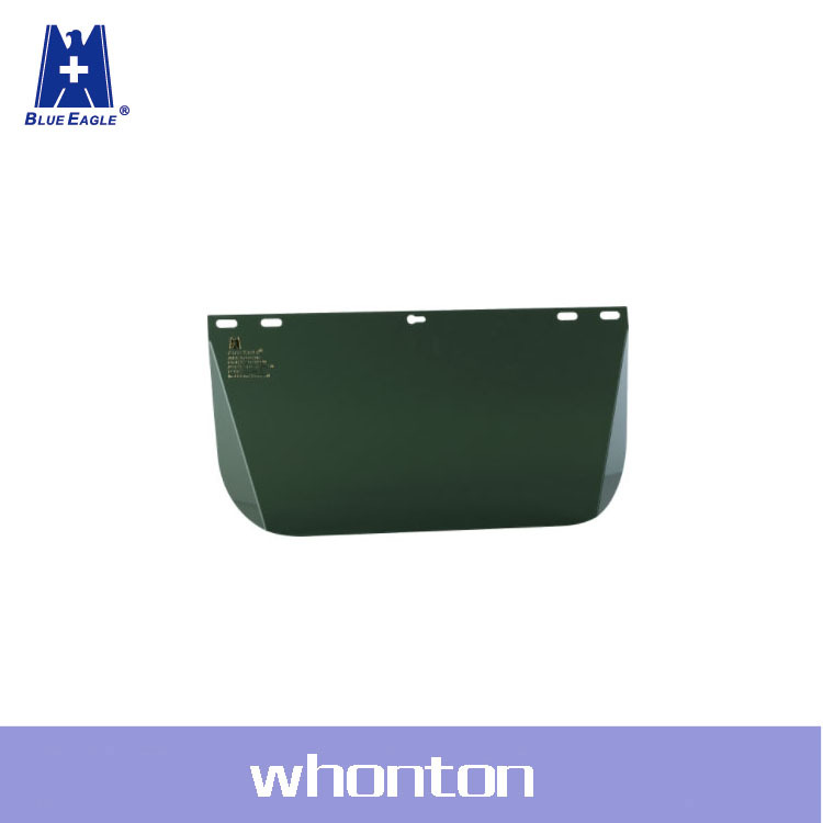 安全面罩蓝鹰安全面罩 Blue Eagle安全面罩FC48G3N