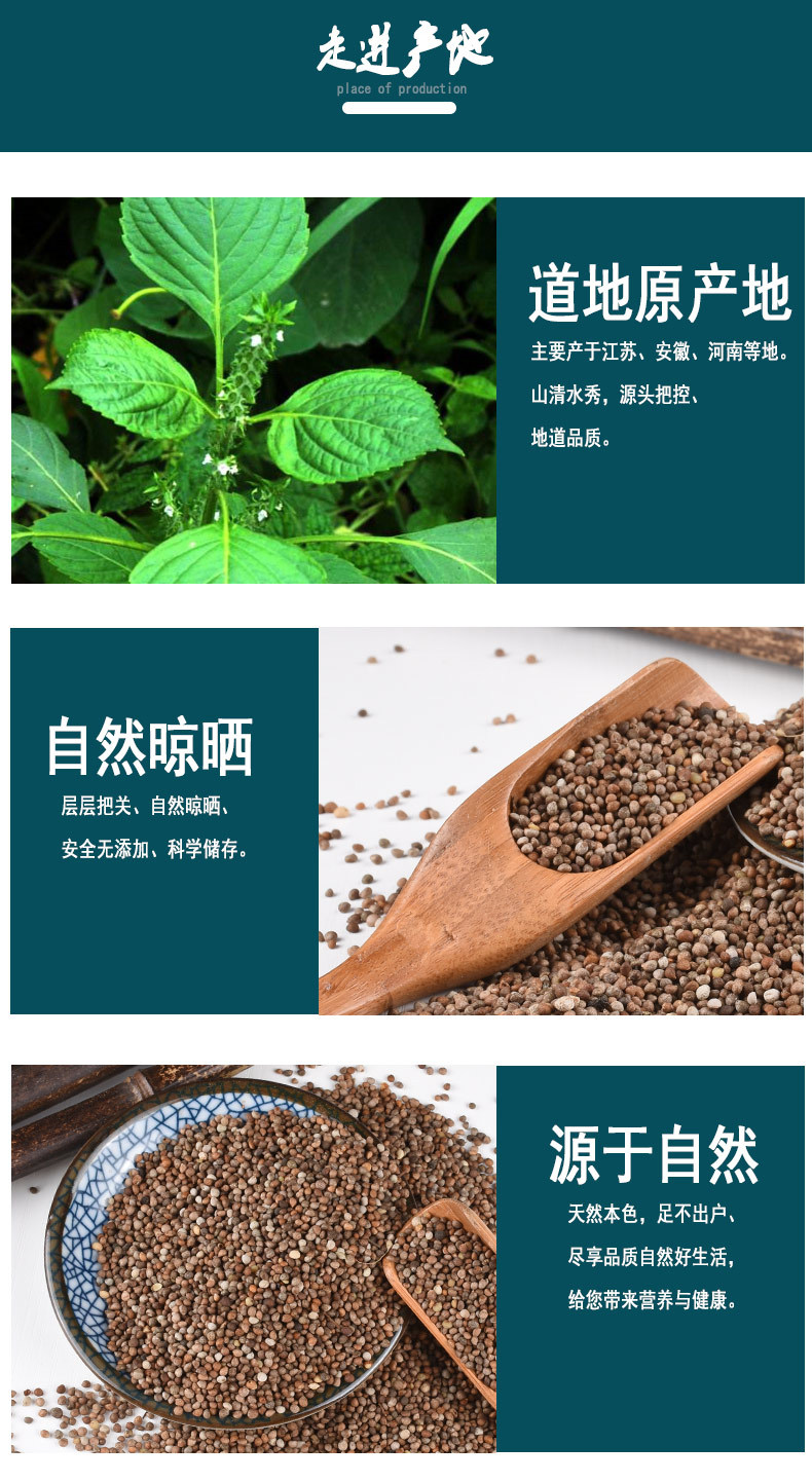 Zi Su Zi (Perilla frutescens) — Dried Perilla Seed, Food-Herb for Tea & Cooking, 500g key features