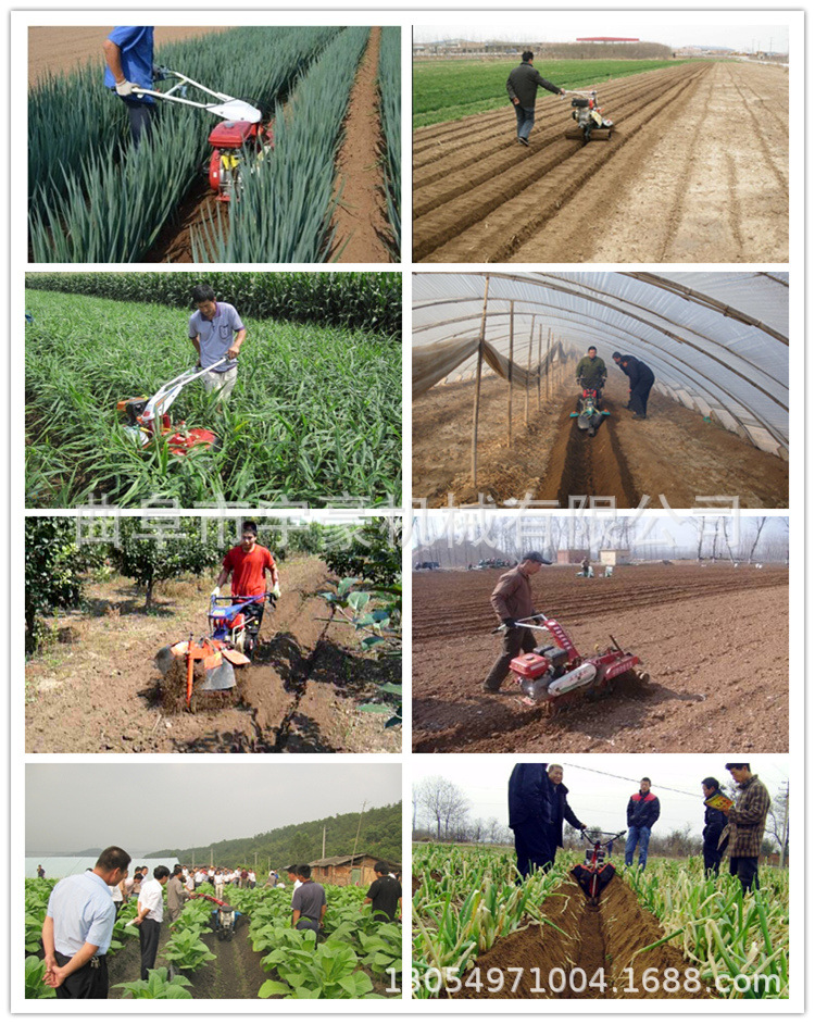 手扶草莓开沟机