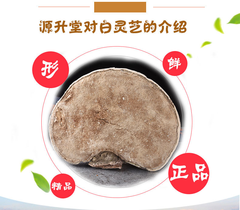 White Lingzhi (Ganoderma lucidum) — Dried Reishi Mushroom from Changbai Mountain, 500g key features