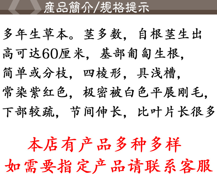 She Chuang Zi (Cnidium monnieri) — Sichuan Dried Food-Herb Fruit, Sulfur-Free, 500g quality and texture