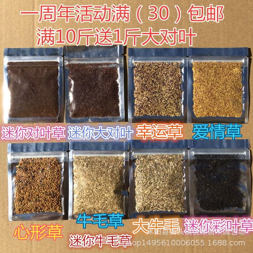 Аквариум Декоративный пакет семян водной травы Проспект Мини Маленькое листовое растение Аквариум Живой пейзаж Настоящая водная трава