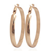 Fashionable hula hoop, metal earrings, jewelry, accessory, European style