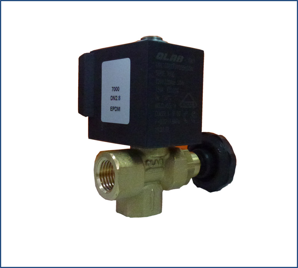 意大利电磁阀 整烫机电磁阀 耐高温电磁阀