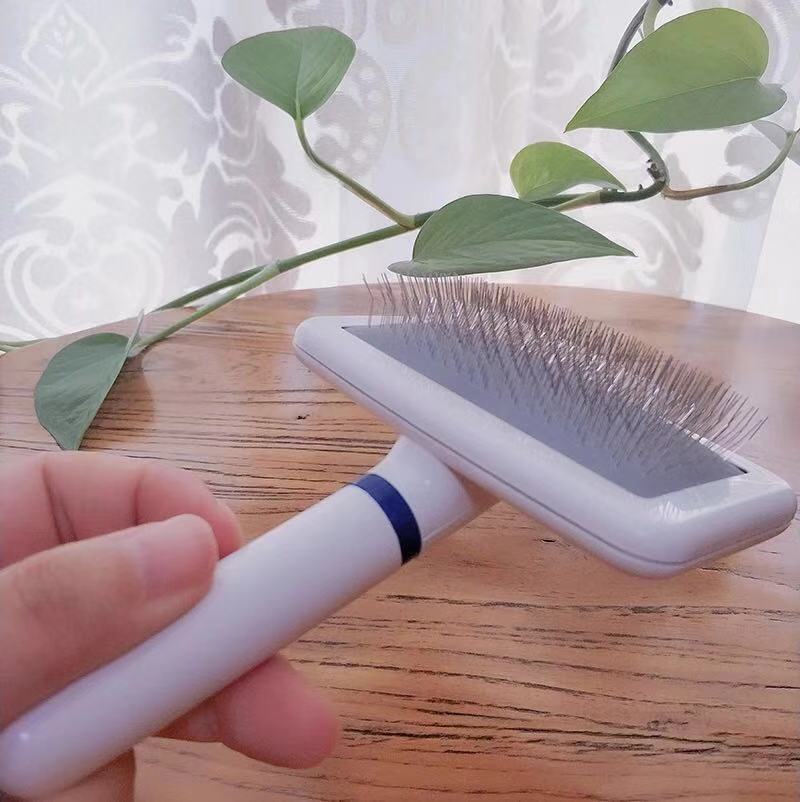 微信图片_20181120031304