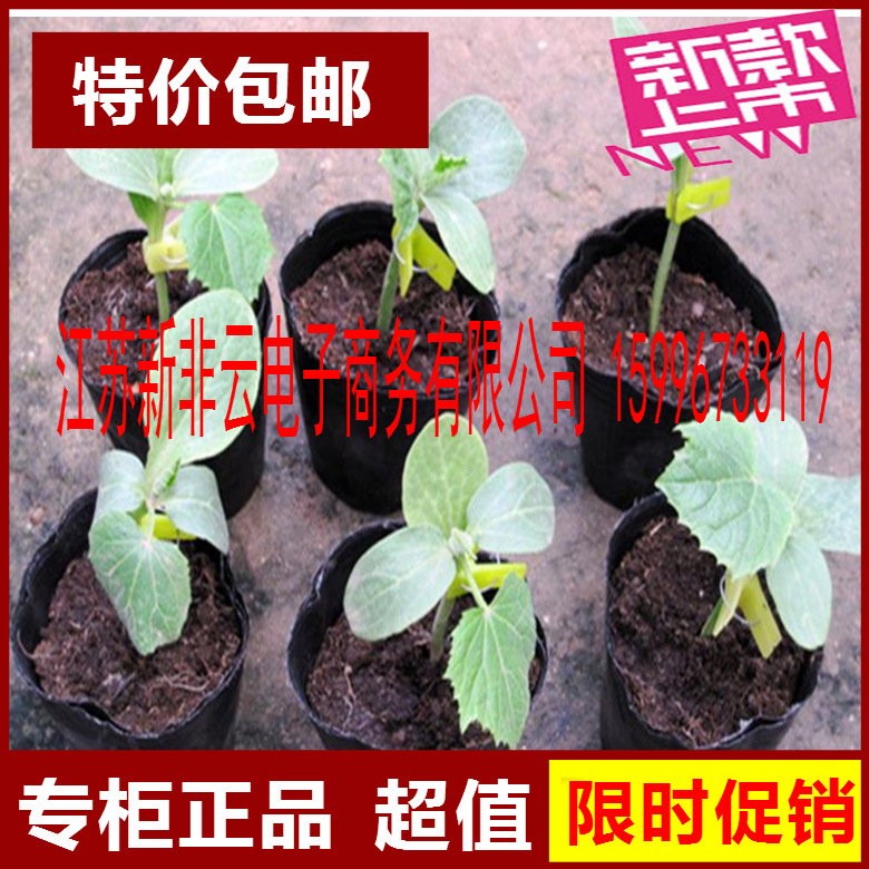 Manufacturer approves developmental seedling bag nutritional bowl…