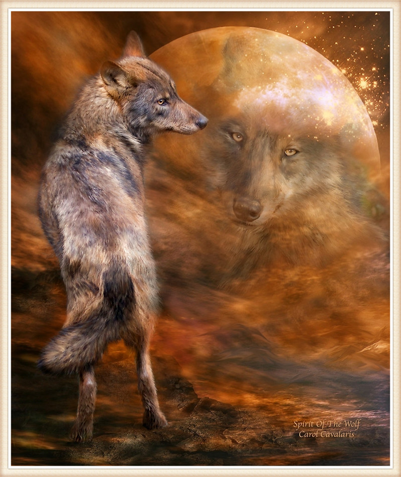 DW1410  狼30乘以40.jpg