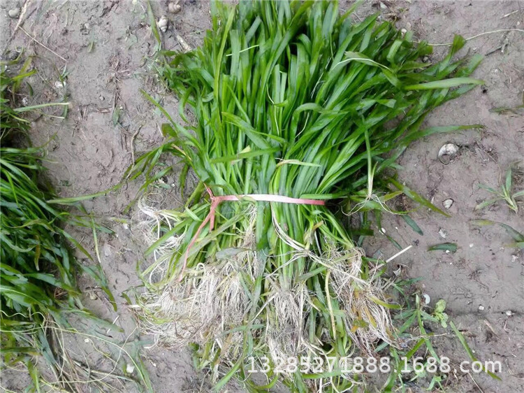 微信图片_20171203124016