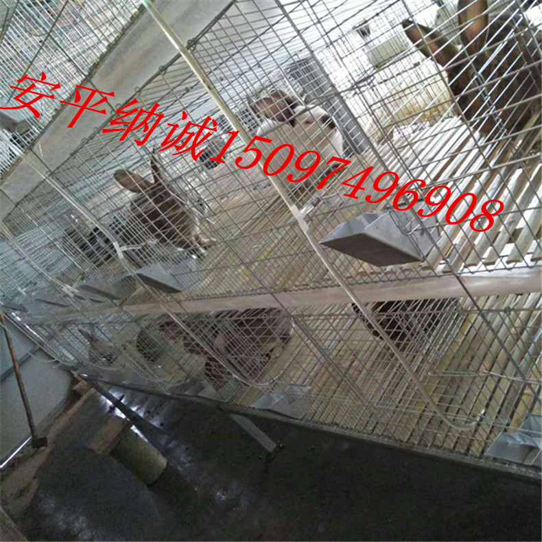兔籠1_副本