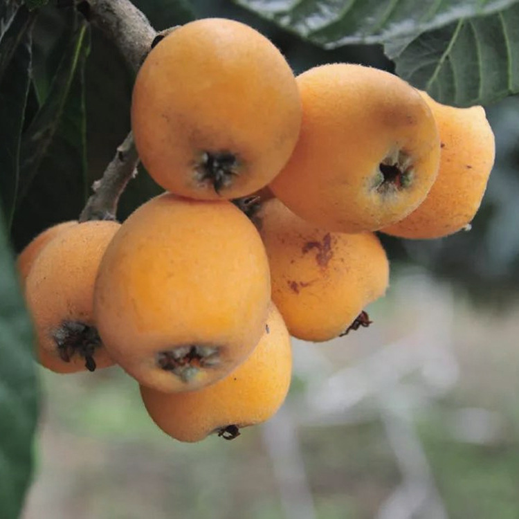 3e44951797c49f46b3be6025b31ae5