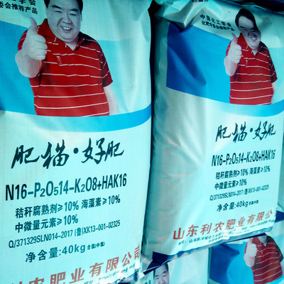 山东利农肥业有限公司复合肥料明星代言农用化肥厂家直销微量元素|ms