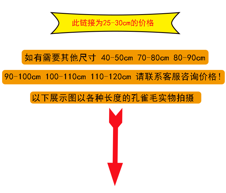 孔雀毛详情页_01