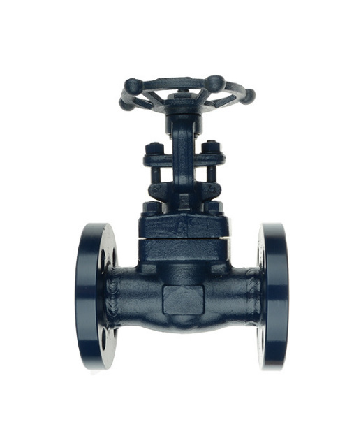 Z41Y-25I锻钢闸阀 耐高温法兰闸阀